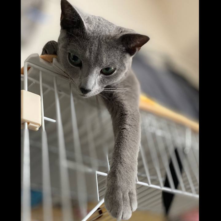 Ab8b11c6 08a1 4d21 abe0 bcb67e30807c 1620289887647