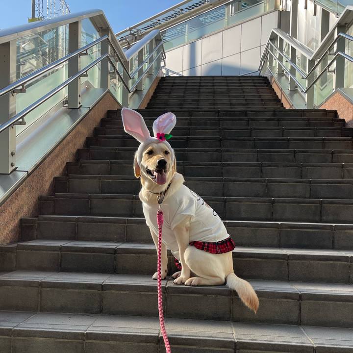 Ab8b306b 1dd3 4030 b504 7fa4582e79d6 1664449047075