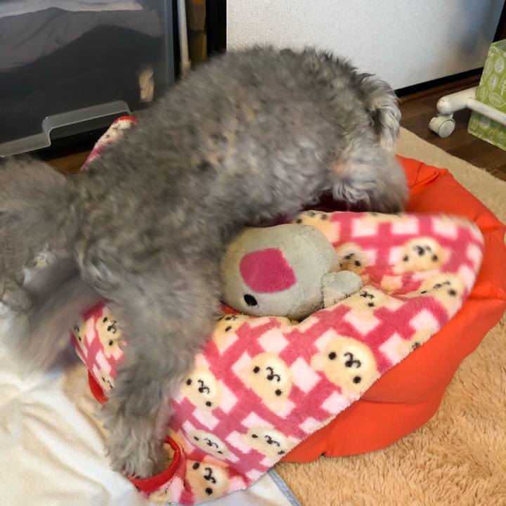 Ab8b5c65 8c51 4ae9 86ba ab19ba5295f0 1542325402513