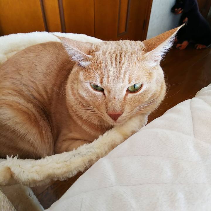 Ab8b5d7c b00d 4fab 97fb d39314a780df 1587182772918