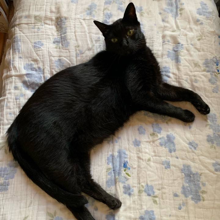 Ab8b86c9 e92d 4a3c 9cf8 d84ee6265cc3 1566695313115