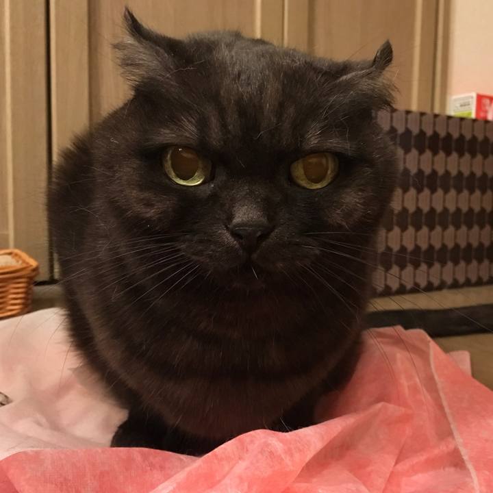 Ab8b8c03 d9fb 4579 addd 22e12eb9079d 1547639690812