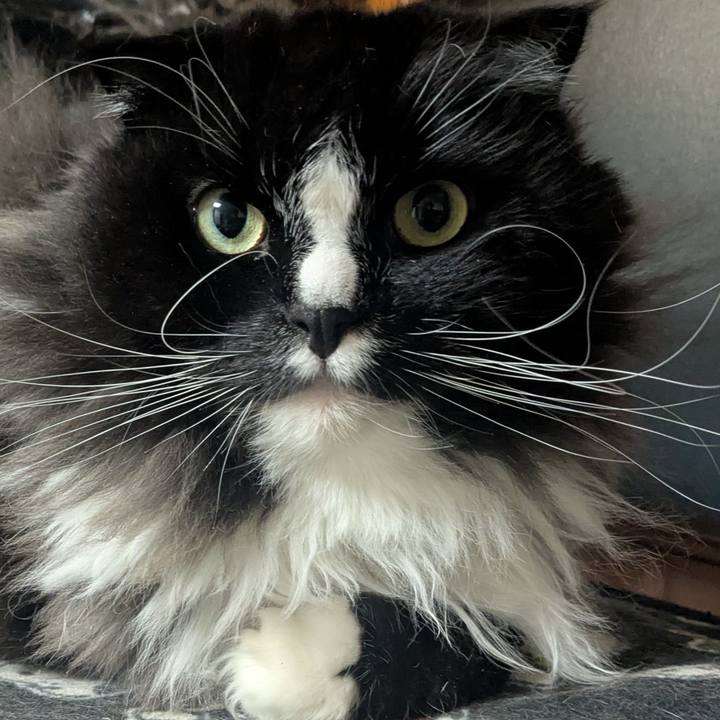 Ab8c1bab a0f3 4fbd 84c5 6907e93873b8 1772942764769