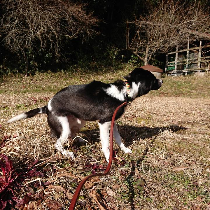 Ab8c37c1 6c30 49c7 96bb 16f788d4518b 1518498285775