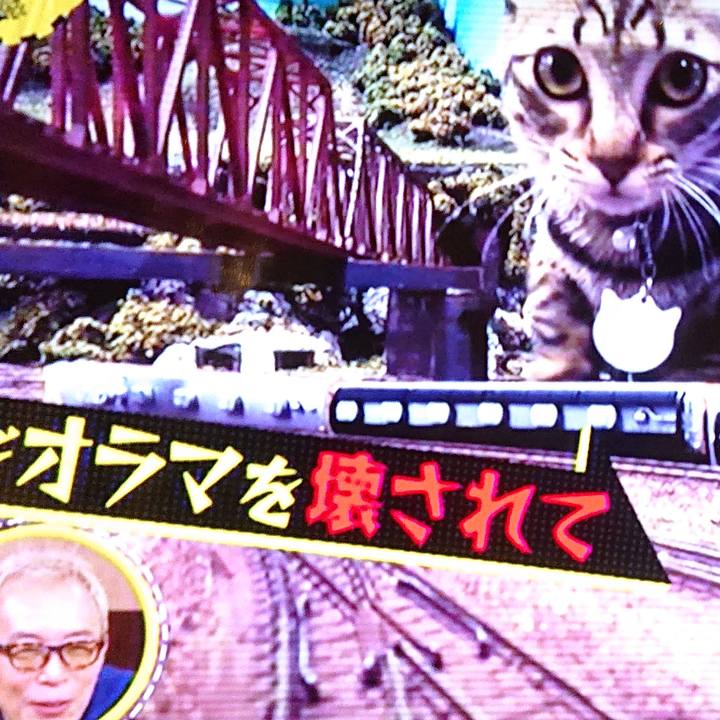 Ab8c5cd1 dd9b 4c09 9880 f2a99fbbc384 1640260617595