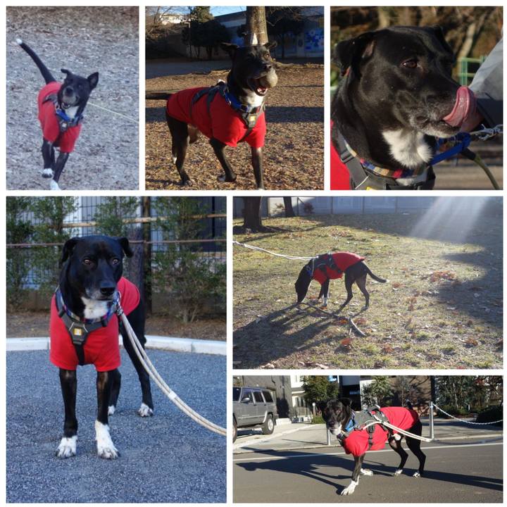 Ab8c6ff5 c970 4354 b7ad 9ad5441a6f4f 1641000981960