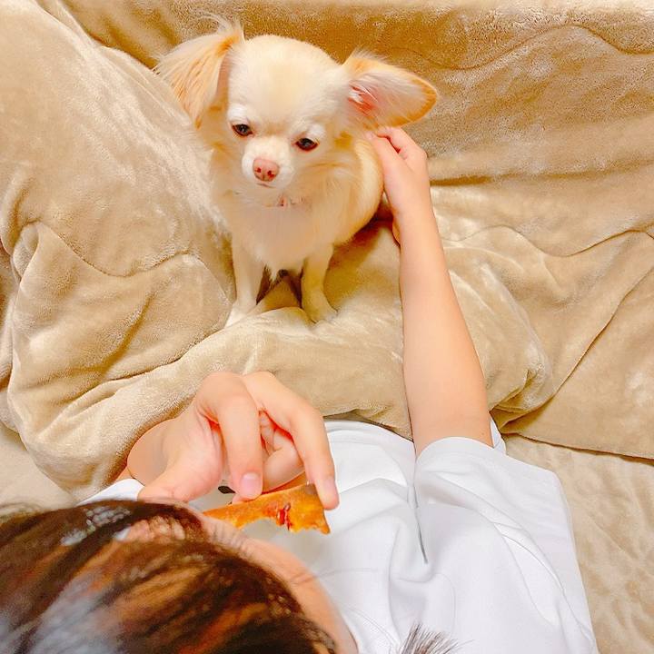 Ab8c740c 85d8 4feb 8aa4 7088eeda6a5d 1634721604912