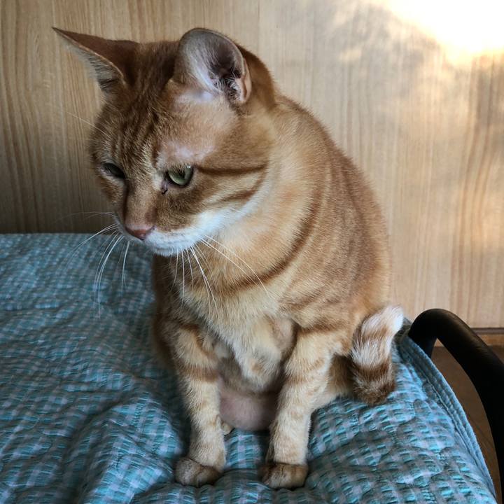 Ab8cf81f bb30 4521 a6d9 fcb3eafdb504 1726435736613