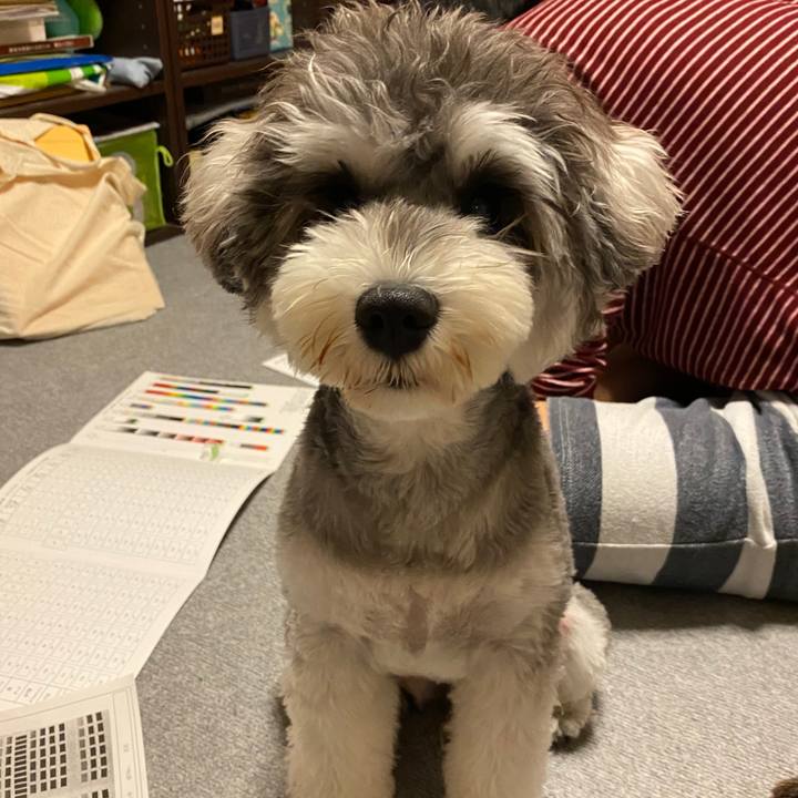 Ab8d05b9 e8a9 4c63 9281 4dacf2521f8b 1591285779311