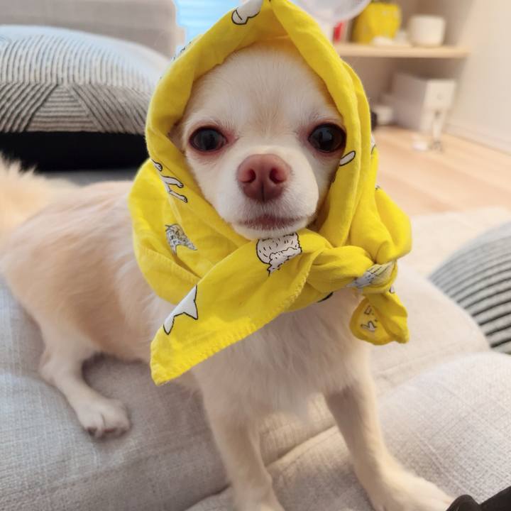 Ab8d1ed8 d978 4776 8859 8dedce03b66e 1691589161998