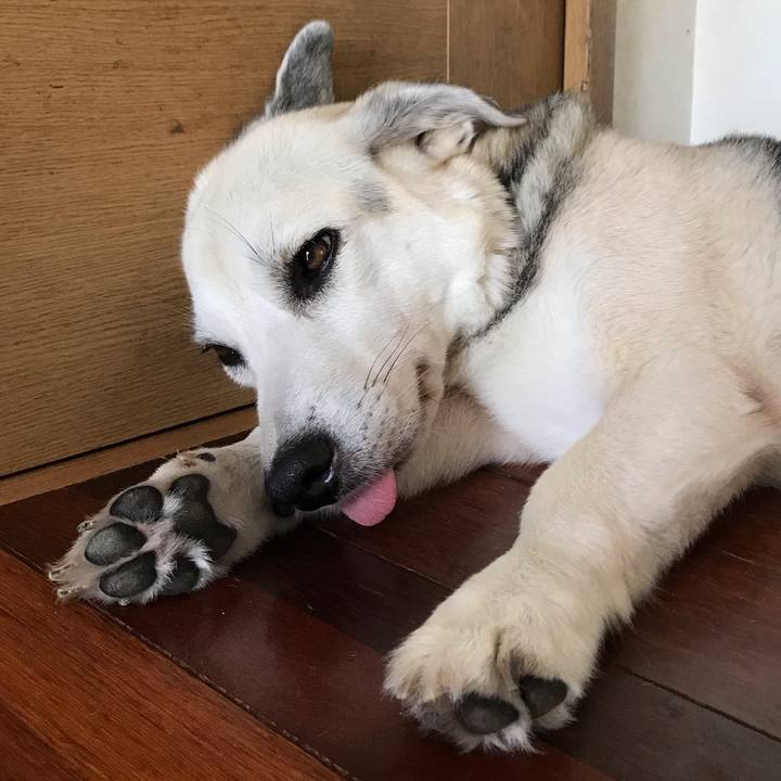 Ab8d7734 b951 4382 beed 6844fe83fd73 1563267500995