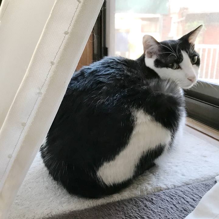 Ab8d9a41 3458 4bf0 b108 4c88e1bc7b25 1535330415976