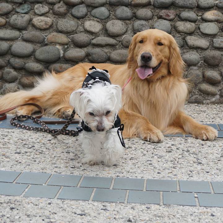 Ab8db323 31e3 45c1 9f86 08855f90154b 1527870176418