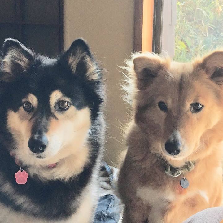 Ab8dbc58 92e6 478c 9995 7fd71554996a 1552483836858