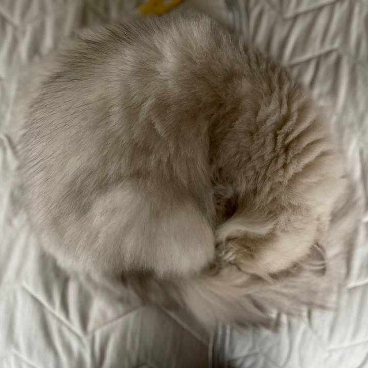 Ab8dbcd1 a34c 4e4a bbf3 bb4a3908aa66 1630562875187