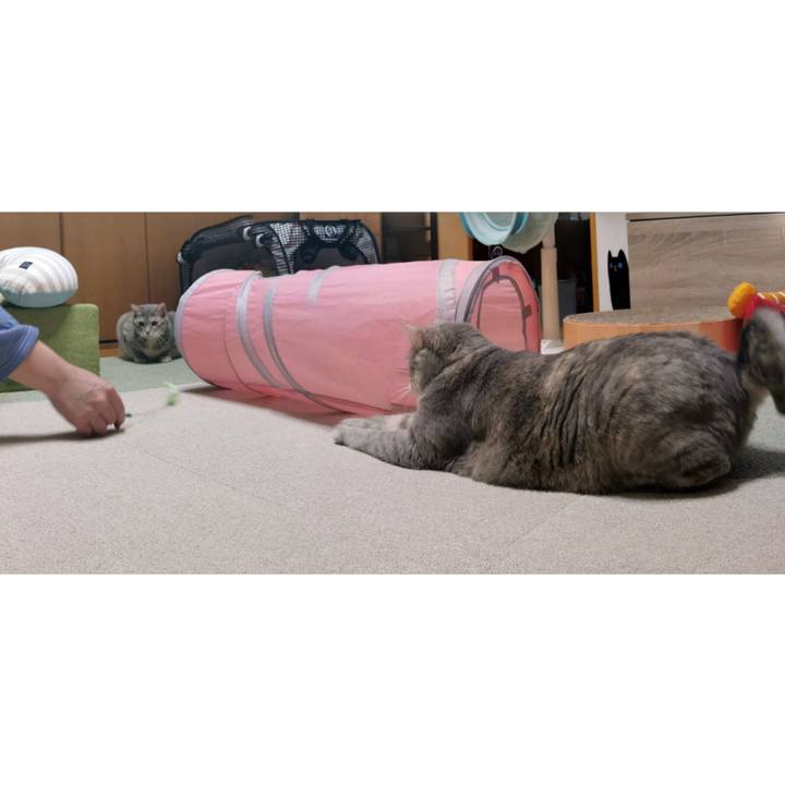 Ab8dd5fc 445f 44c7 8a4f a1ac6fd2c700 1675659253029