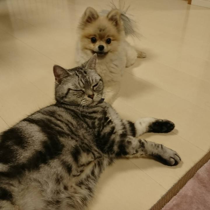 Ab8deff2 9075 49ed 889b e9a00799e743 1526171665460