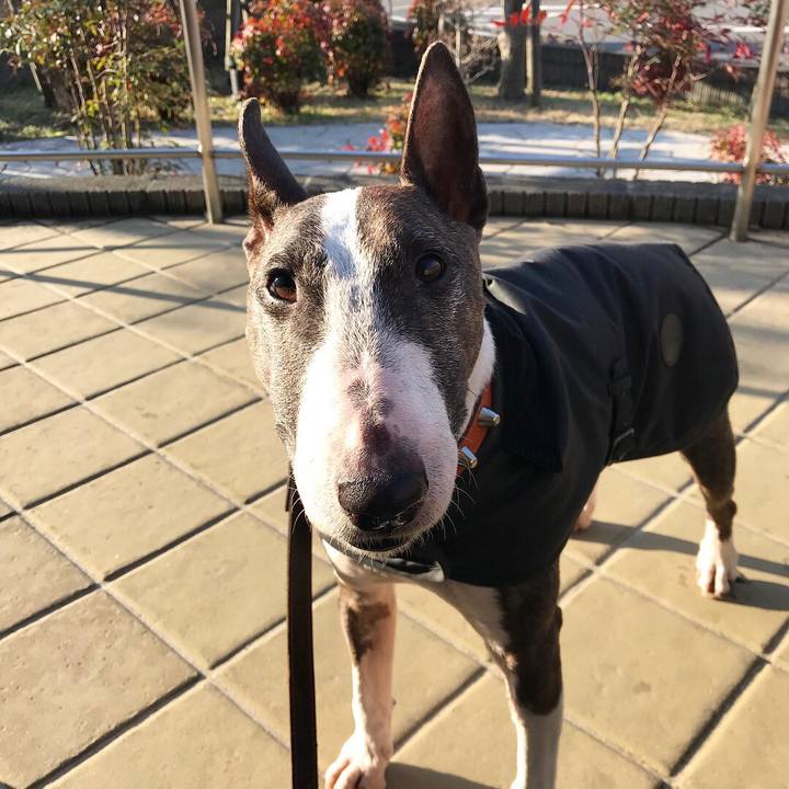 Ab8e099c 566f 43c5 98be f76cd528e46b 1520745130861