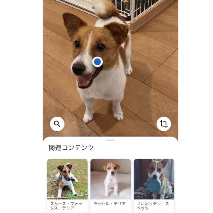 Ab8e0a96 5c3f 4d26 bafe 8e6951440e13 1592107311115