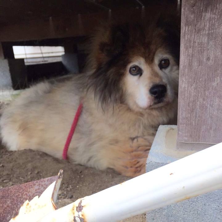 Ab8e10f0 8ad0 4caa 8226 48aac5371534 1549588637669