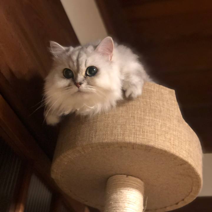 Ab8e1cf6 ad8d 4d03 9146 239d03a95cfa 1627513818888