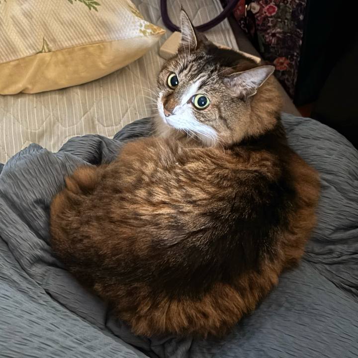 Ab8e6c4e fd1d 4c53 9c97 24543e95fc50 1758887760562