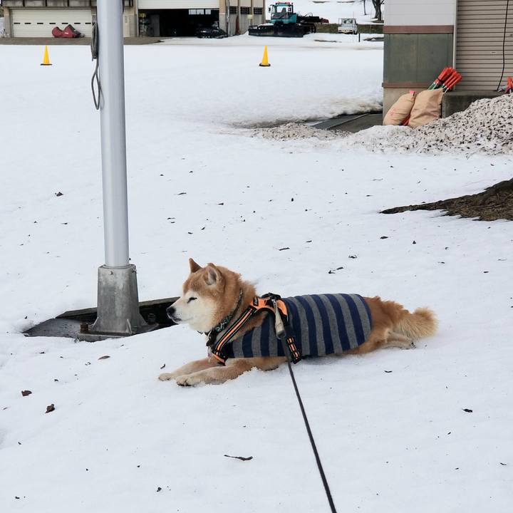 Ab8e8064 04c3 474b a08e a2783aca56d0 1708320674113