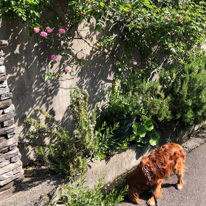 Ab8e8ccc 5721 4aa9 98f8 a1e7f7dae455 1618706389406