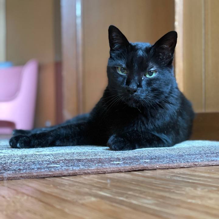 Ab8e8fba d04b 44ba ac17 89277775f093 1624583762853