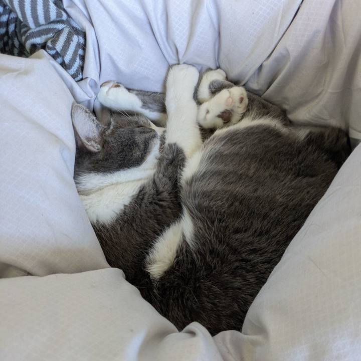 Ab8ea435 55af 469f 993f 9fca8f0209da 1773284543584