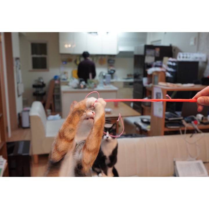 Ab8eb5b3 f313 4714 b08f 2a9992d99b6a 1602342036906