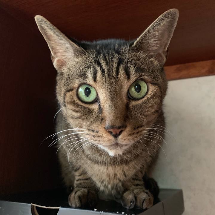 Ab8ec19a a12c 4d8b 972c d055abd323c7 1538962290268