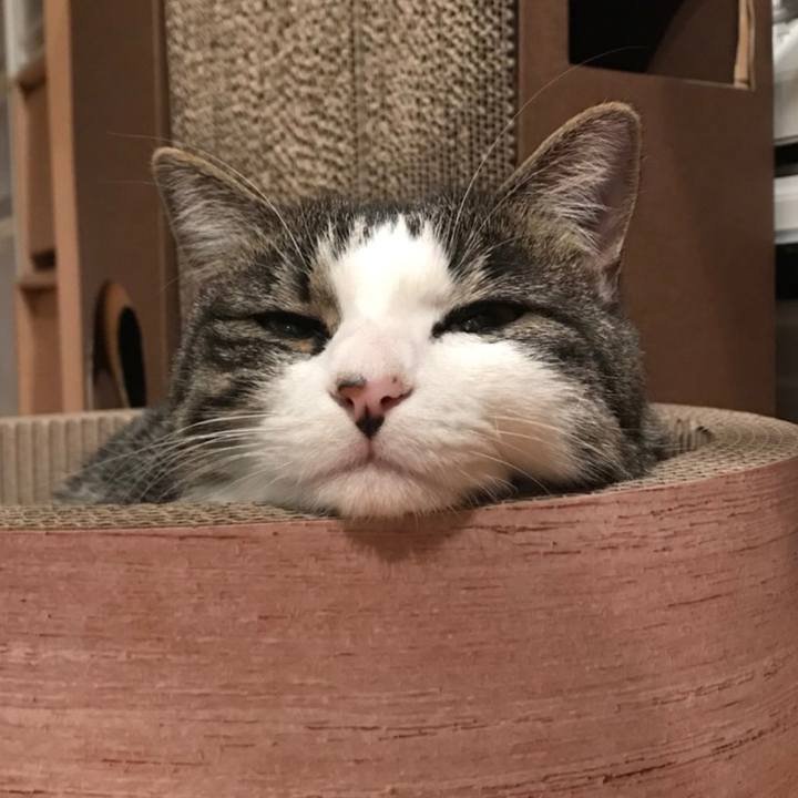 Ab8eddcb da38 4bd0 988d 9e20e2af6e7e 1512227586359