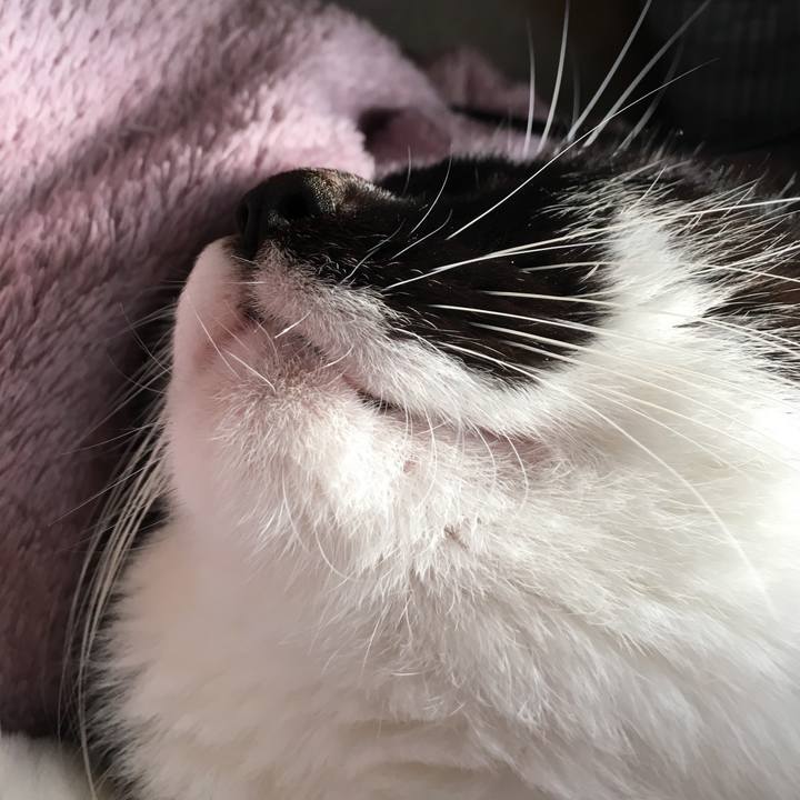 Ab8efba0 3f54 4185 9fbe 549b19f01c44 1519474333789