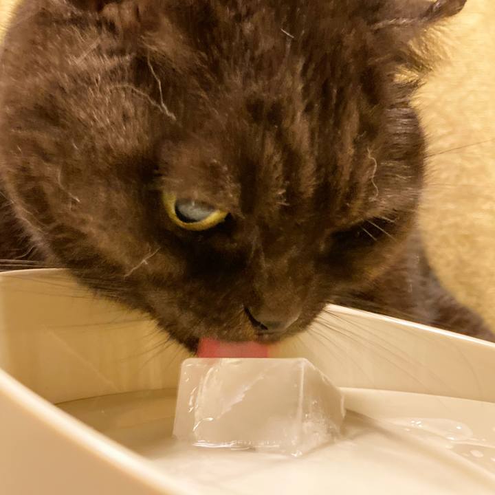 Ab8efccb ab35 4b5b b302 7f9ac888aef2 1635175756258