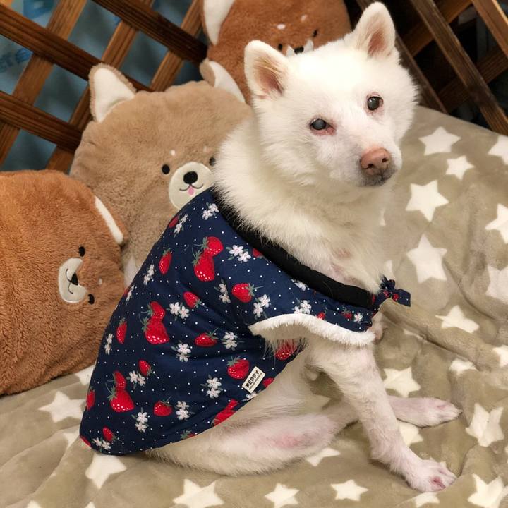 Ab8f1089 4044 4528 ae54 35b7ff149dc9 1641045026154