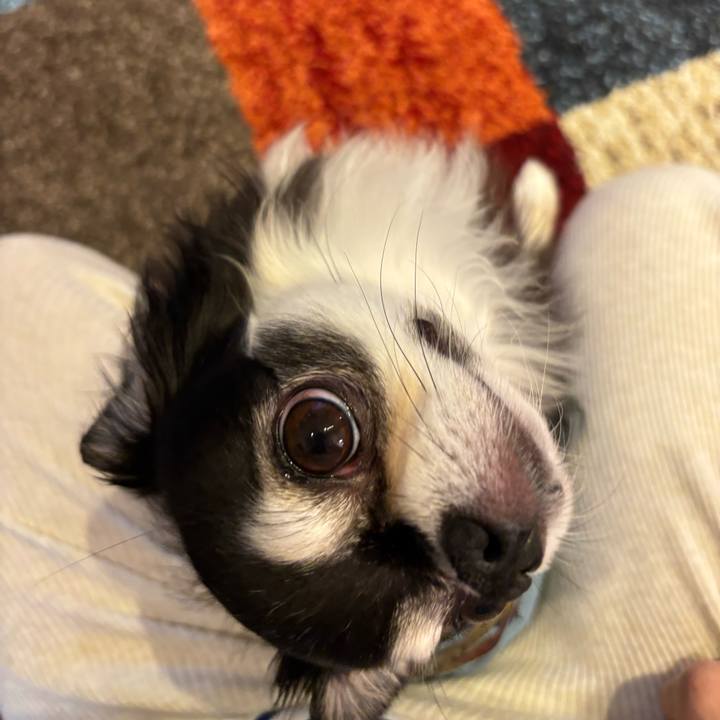 Ab8f756f 439a 472b 8b5d 1fb64a664f76 1746548907908