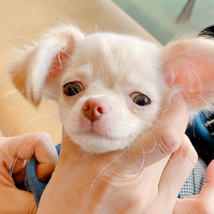 Ab8f7913 727f 4ef0 a183 7ac7e12da49b 1676712261710