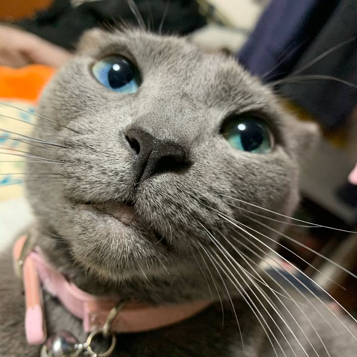 Ab8fb8db 100f 4c1a aa8e 29b868e9ffd2 1582619419161