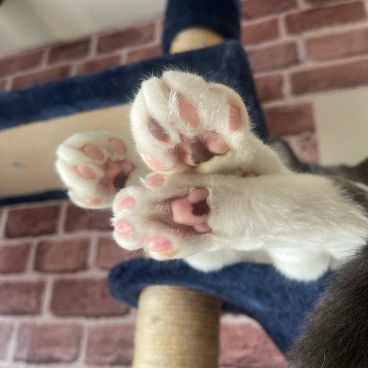 Ab8fc5a1 7f1d 400c ab9a 74e6659282d2 1697080763119