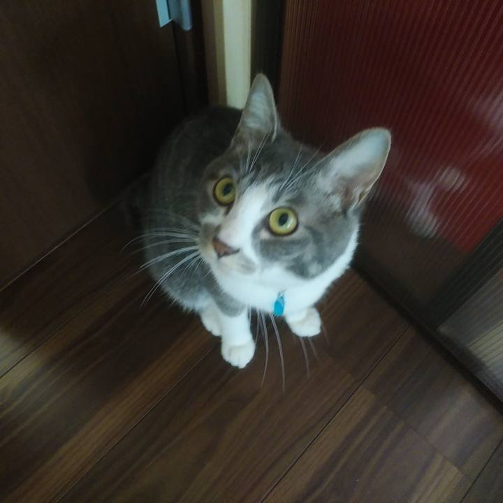 Ab8fdba9 c60c 4632 bb49 f9348eef4811 1587860951194