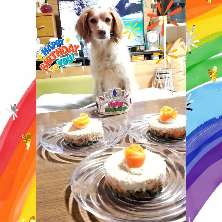 Ab8fde00 fa75 483f bc51 fb1f916ff613 1713790881622