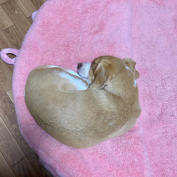 Ab8fef1f 97cf 4269 91d1 e24989965f4d 1578230968151