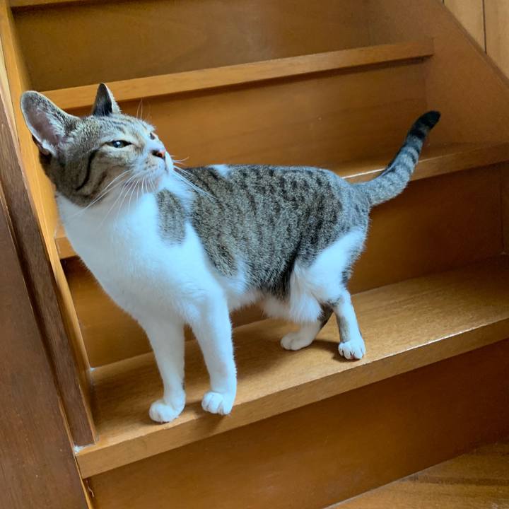 Ab8ffa88 c563 4a6a 94f0 46ffaf5be46e 1537837281276