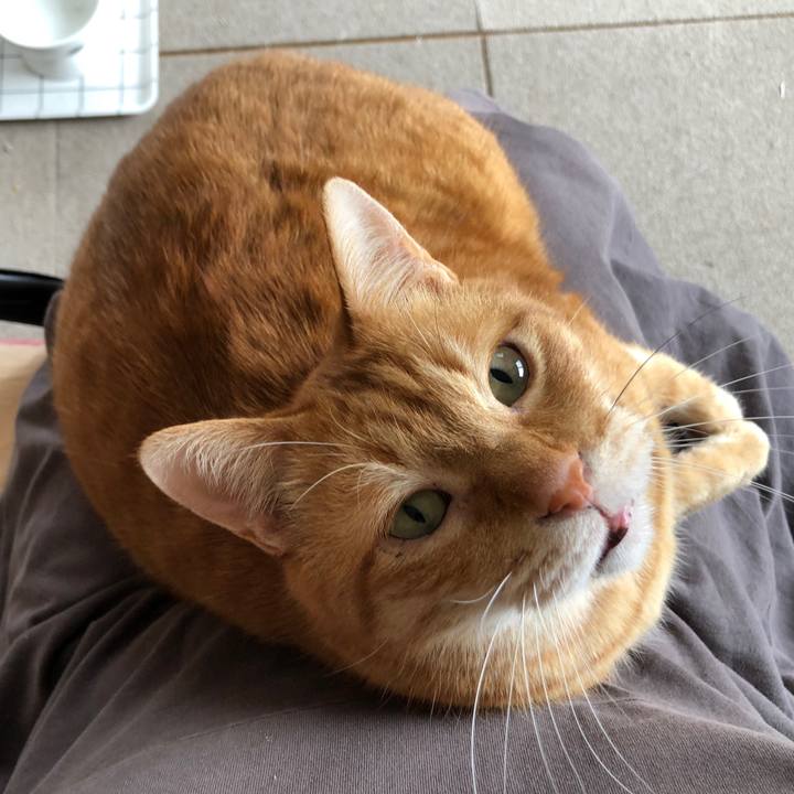 Ab8ffc95 f2a4 468e 8f3c 00b15dc9e04d 1680329181691