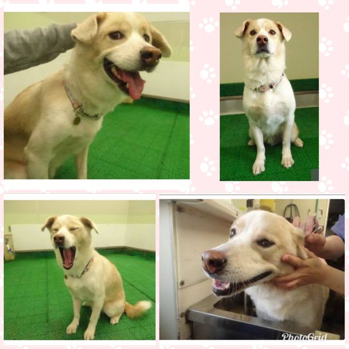 Ab902932 cafe 456c a74d ee8a502c1709 1575726881135