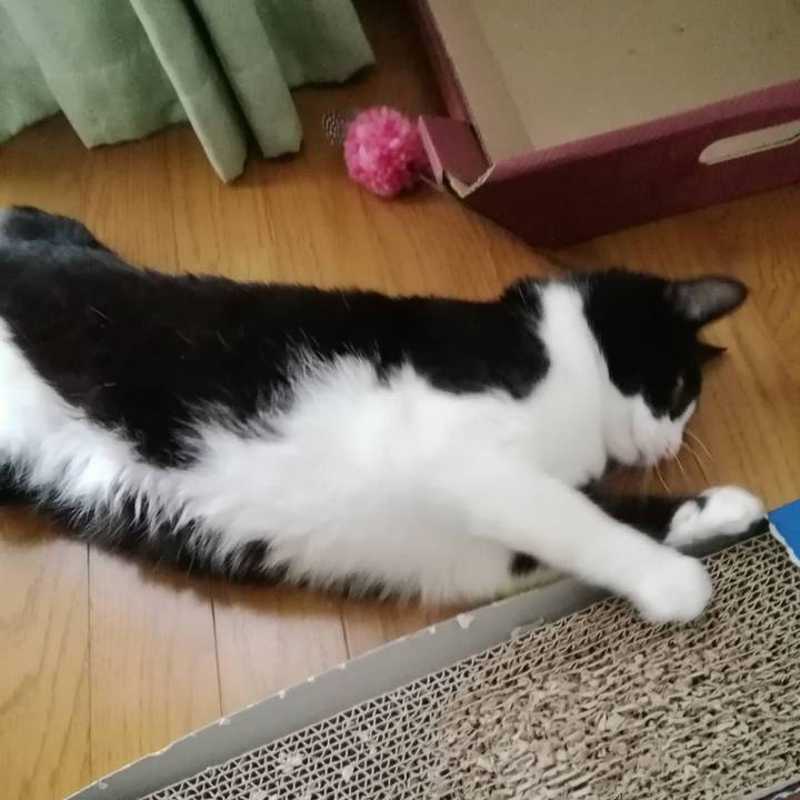 Ab90580e 4bb1 4477 94fc 30fd680983c3 1562574522211