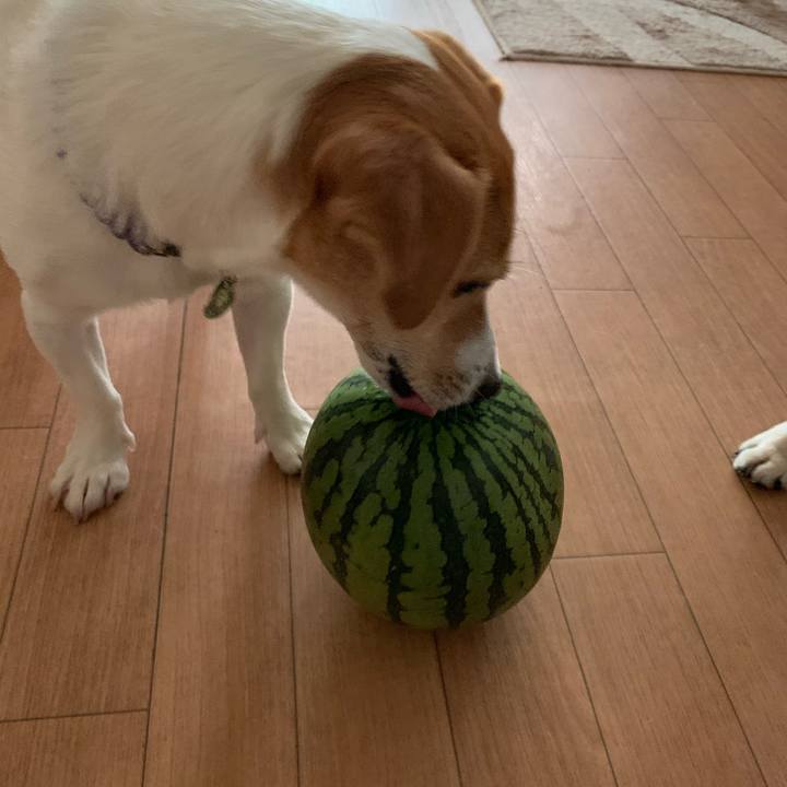 Ab907c8b d067 4952 8601 8d7bf9b7108b 1591512519603