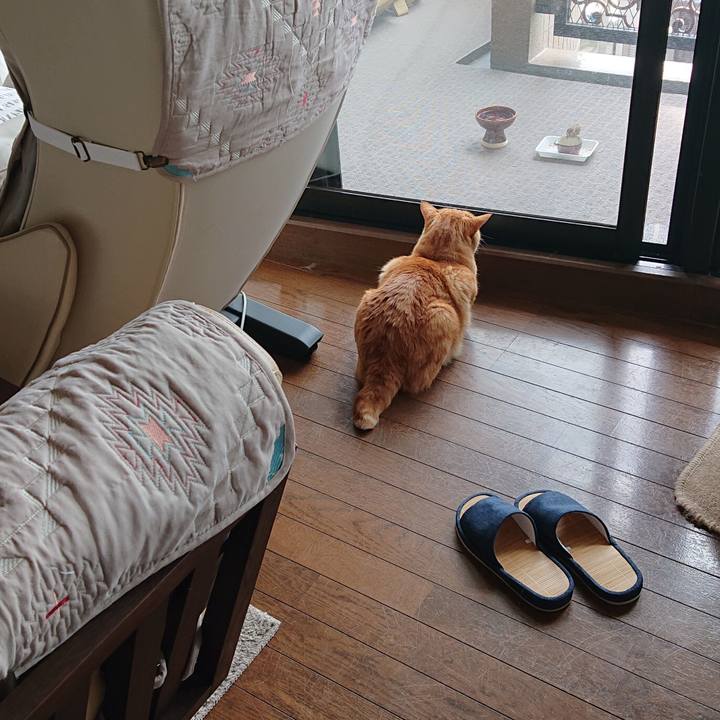 Ab907ce6 cc9f 4f3a 8ed5 ff90c8213205 1559277345408