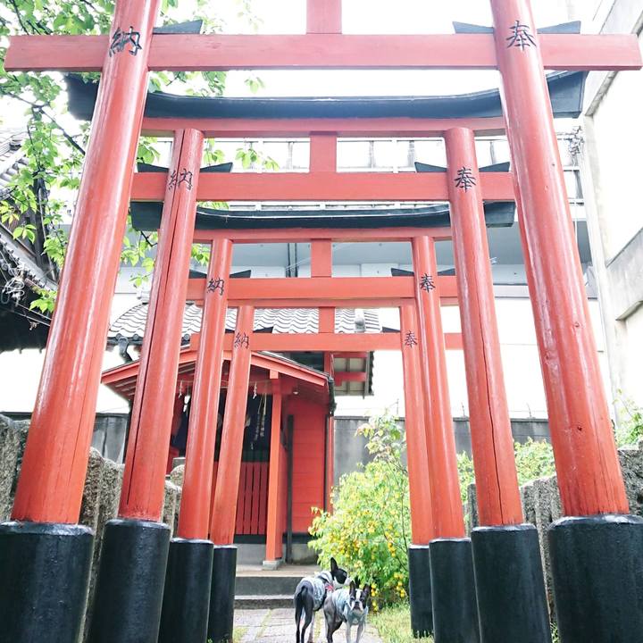 Ab909882 ab46 43cc 8cd0 39c6d37ba8ed 1524026499750